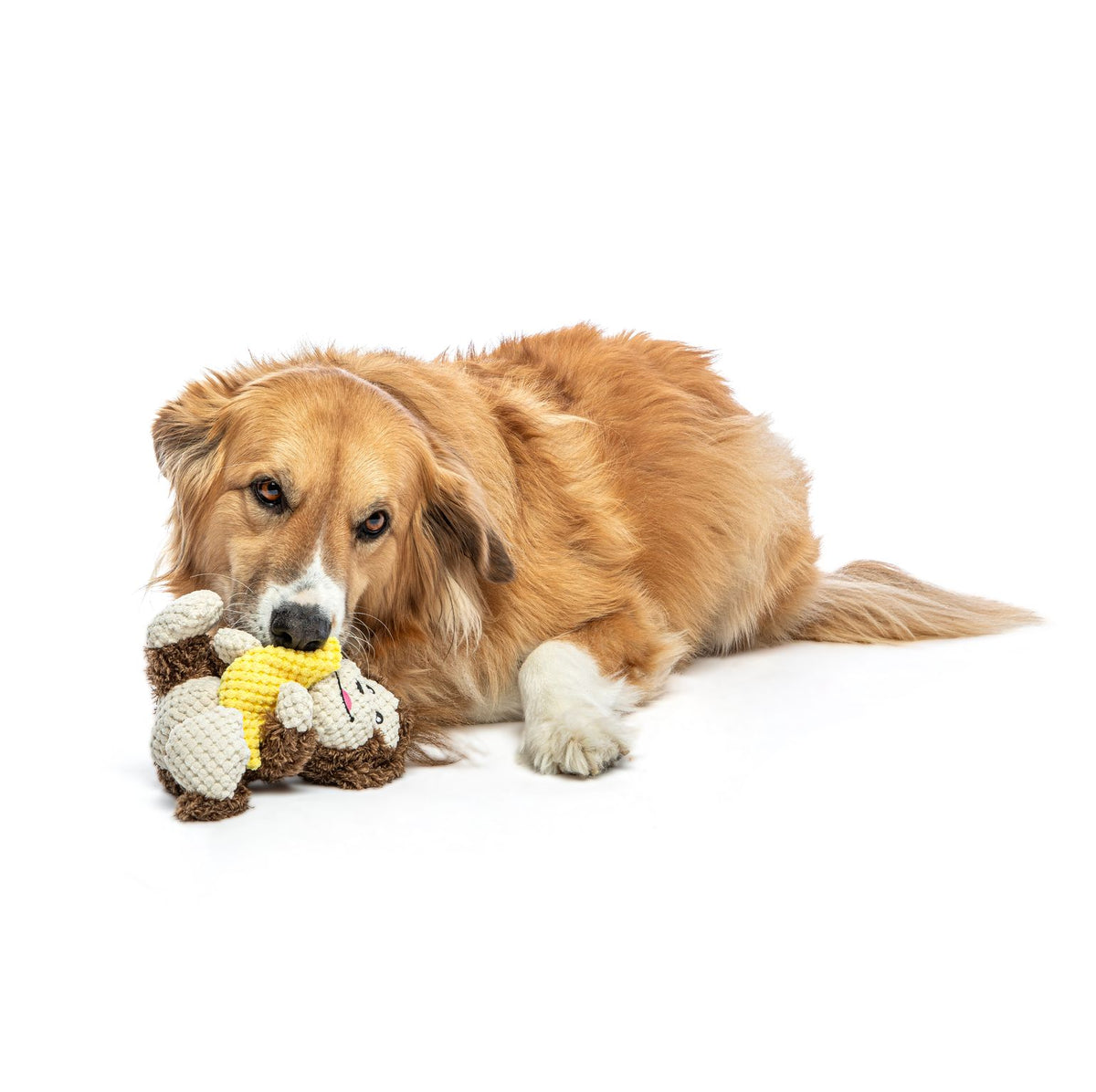Guru Loveys Monkey Medium Dog Toy