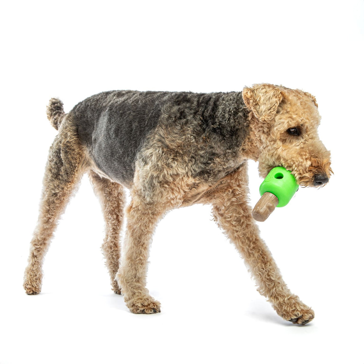 Guru Spin and Treat Stick Bacon Dog Toy