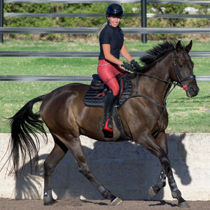 Lumiere Anka Leather Breastplate