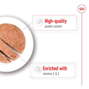 Royal Canin Medium Adult Wet Dog Food