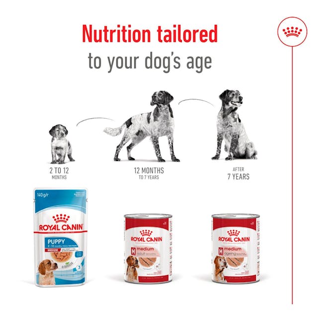 Royal Canin Medium Adult Wet Dog Food
