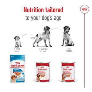 Royal Canin Medium Adult Wet Dog Food