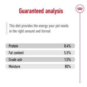 Royal Canin Mini Ageing Wet Dog Food
