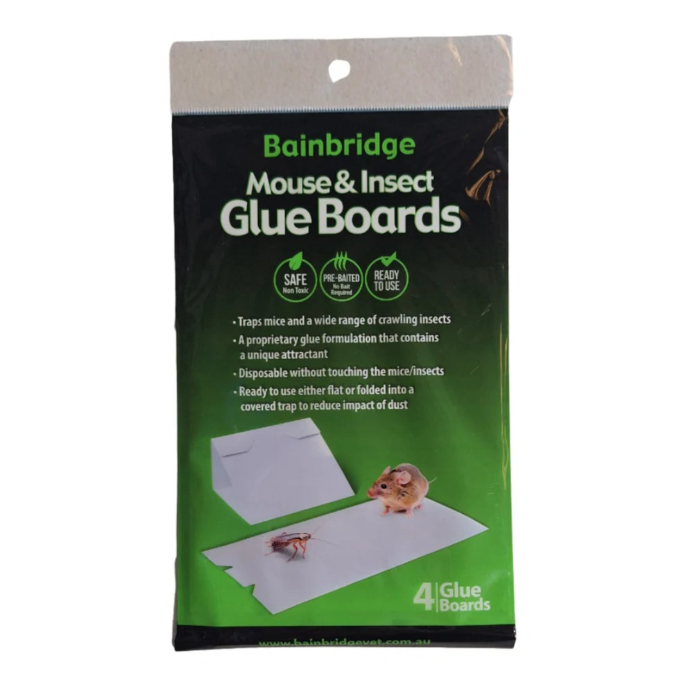 Bainbridge Mice Glue Boards