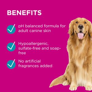 PAW 2 in 1 Conditioning Shampoo
