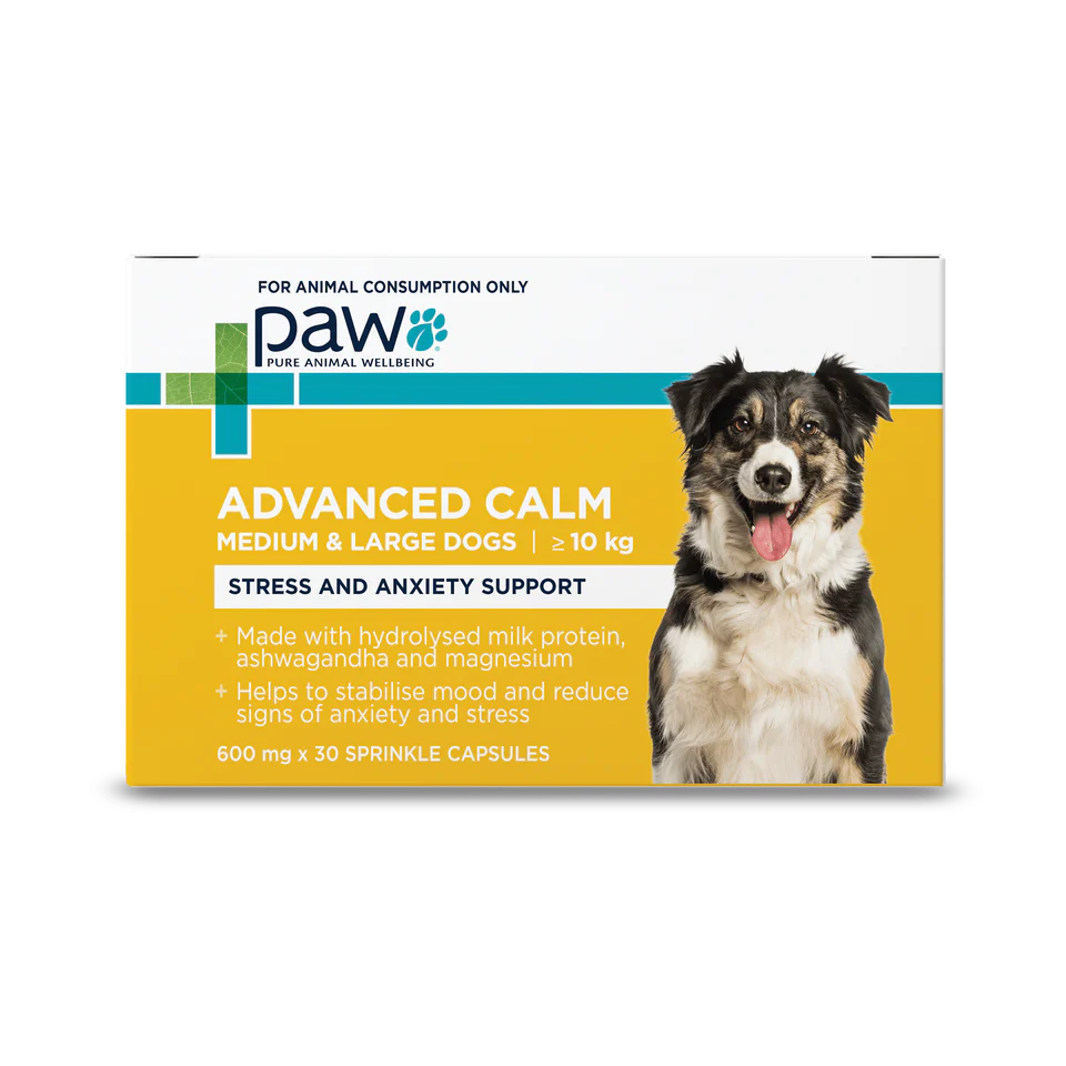 PAW by Blackmores Advanced Calm for Medium and Large Dogs Chews