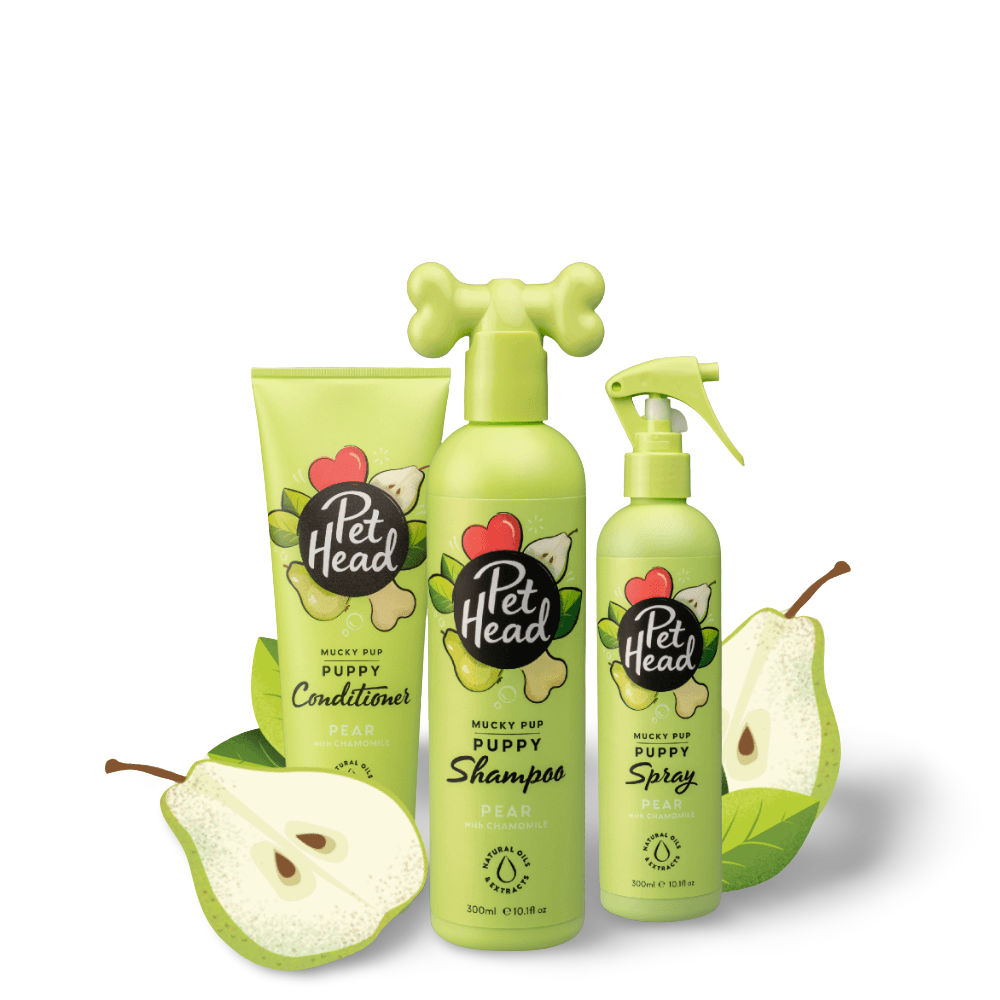 Pet Head Mucky Puppy Conditioner