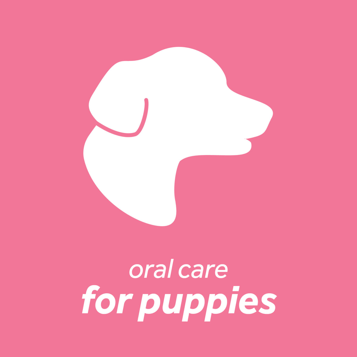 TropiClean Fresh Breath Oral Care Kit for Puppies