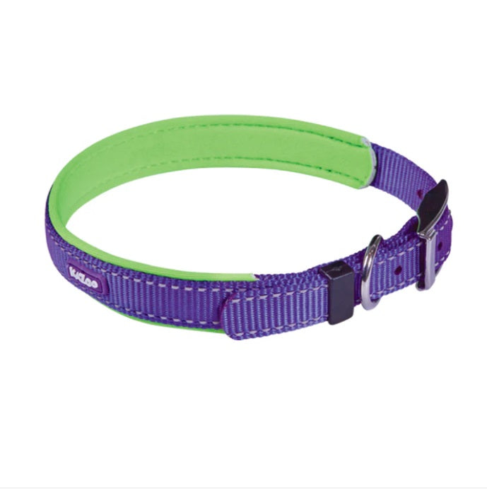 Kazoo Active Nylon Buckle Dog Collar