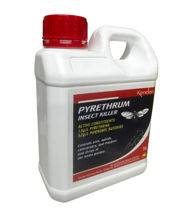 Kendon Pyrethrum