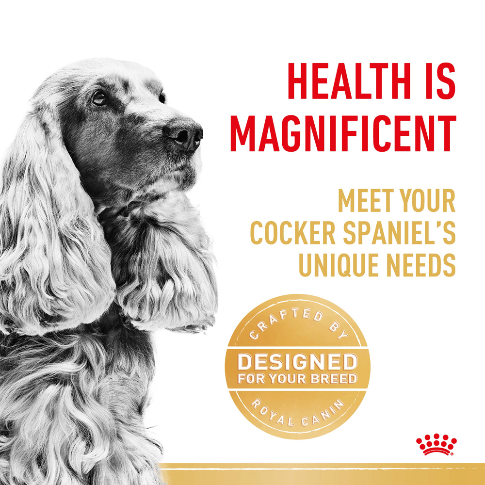Royal Canin Cocker Spaniel Dry Dog Food