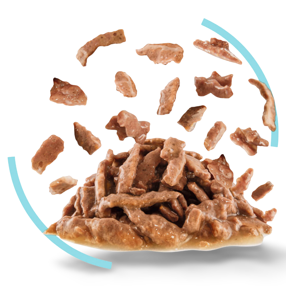 Royal Canin Cat Sensory Feel Gravy Wet Cat Food