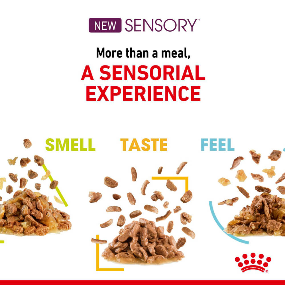 Royal Canin Cat Sensory Feel Gravy Wet Cat Food