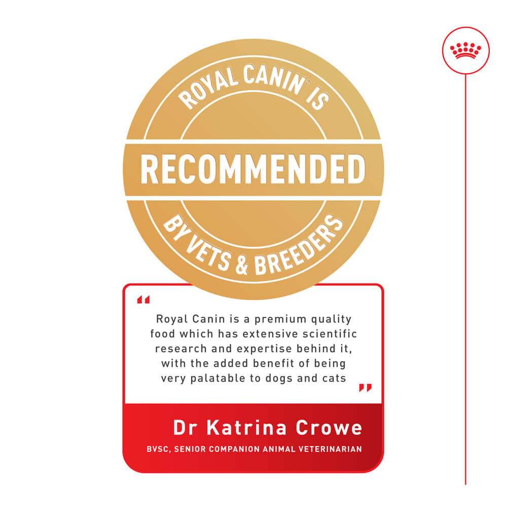 Royal Canin Cat Sensory Feel Gravy Wet Cat Food
