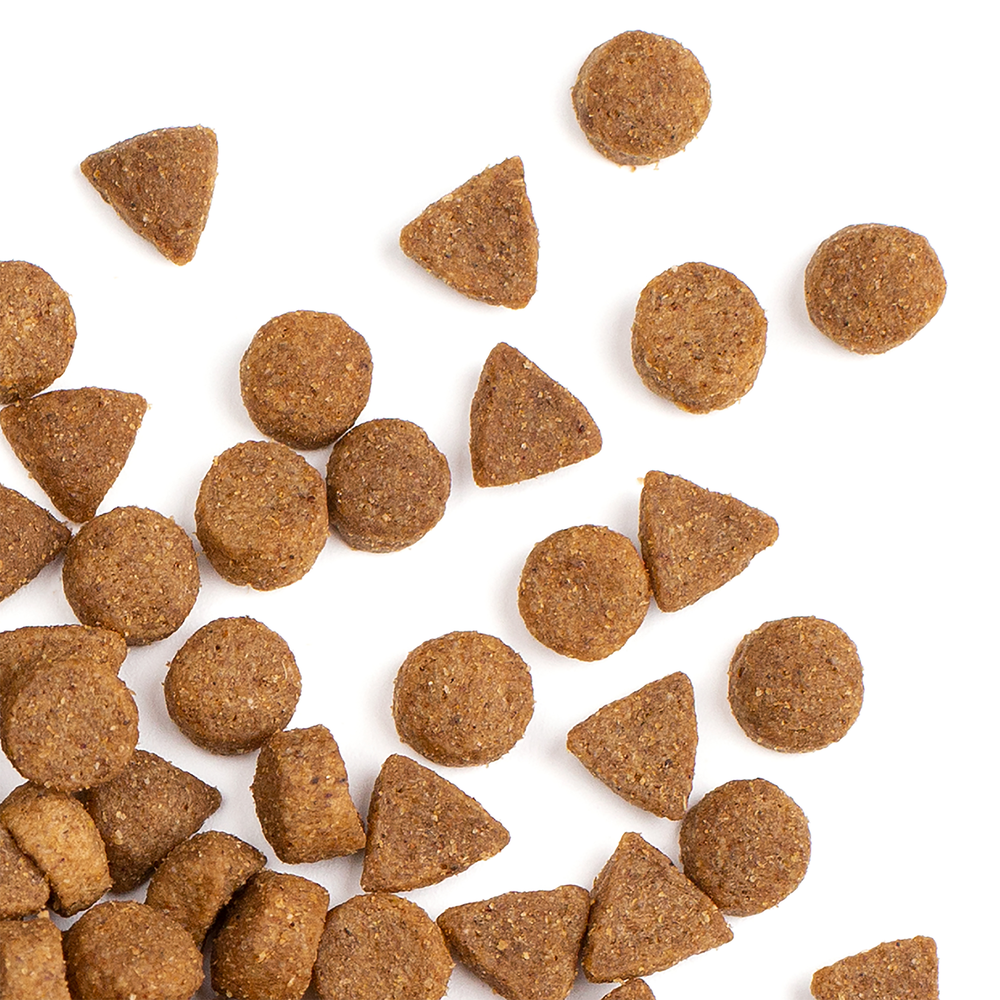 Supercoat Adult Beef Dry Dog Food