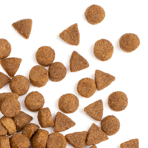 Supercoat Adult Beef Dry Dog Food