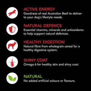 Supercoat Adult Beef Dry Dog Food