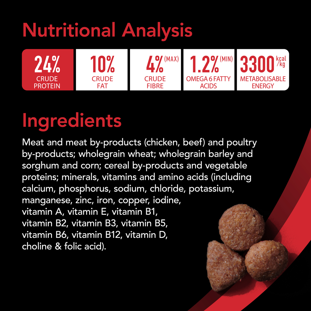 Supercoat Adult Beef Dry Dog Food