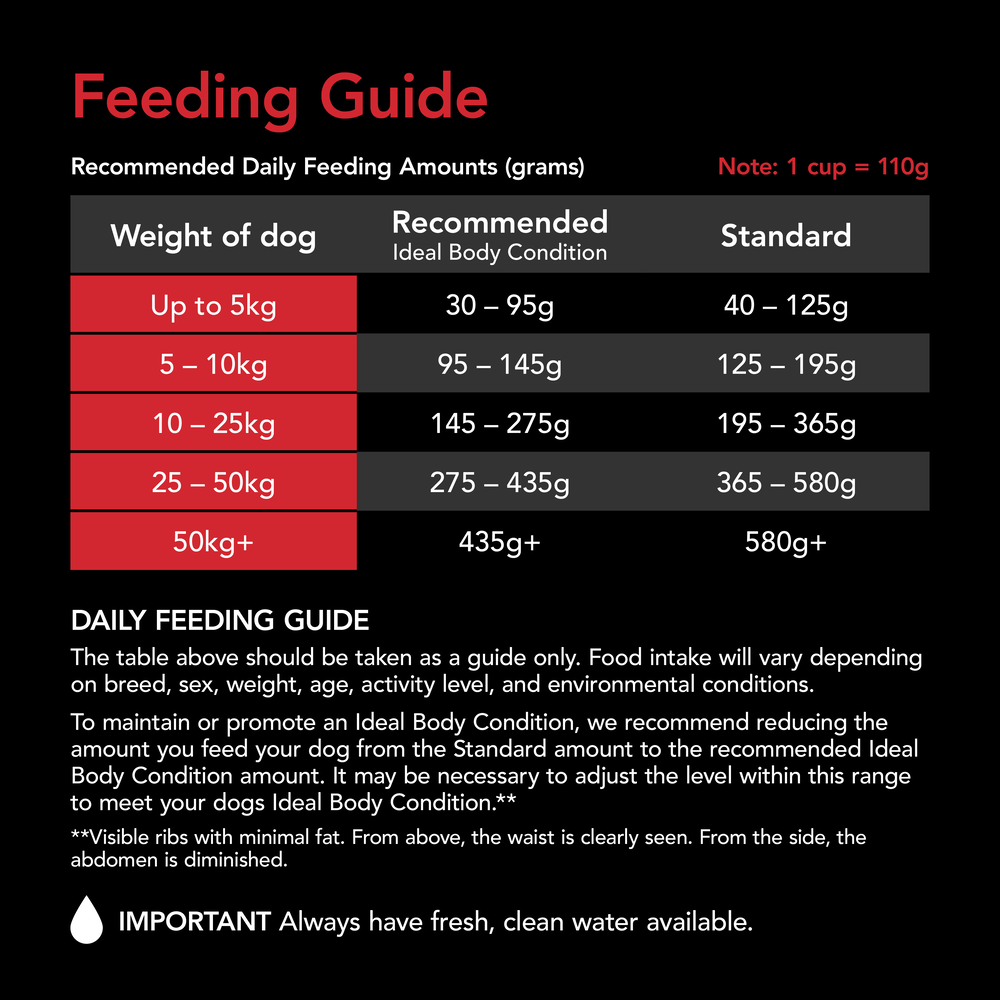 Supercoat Adult Beef Dry Dog Food