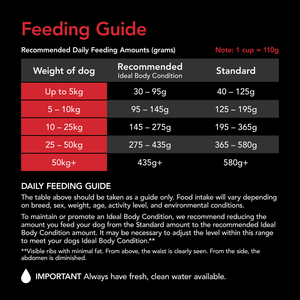 Supercoat Adult Beef Dry Dog Food