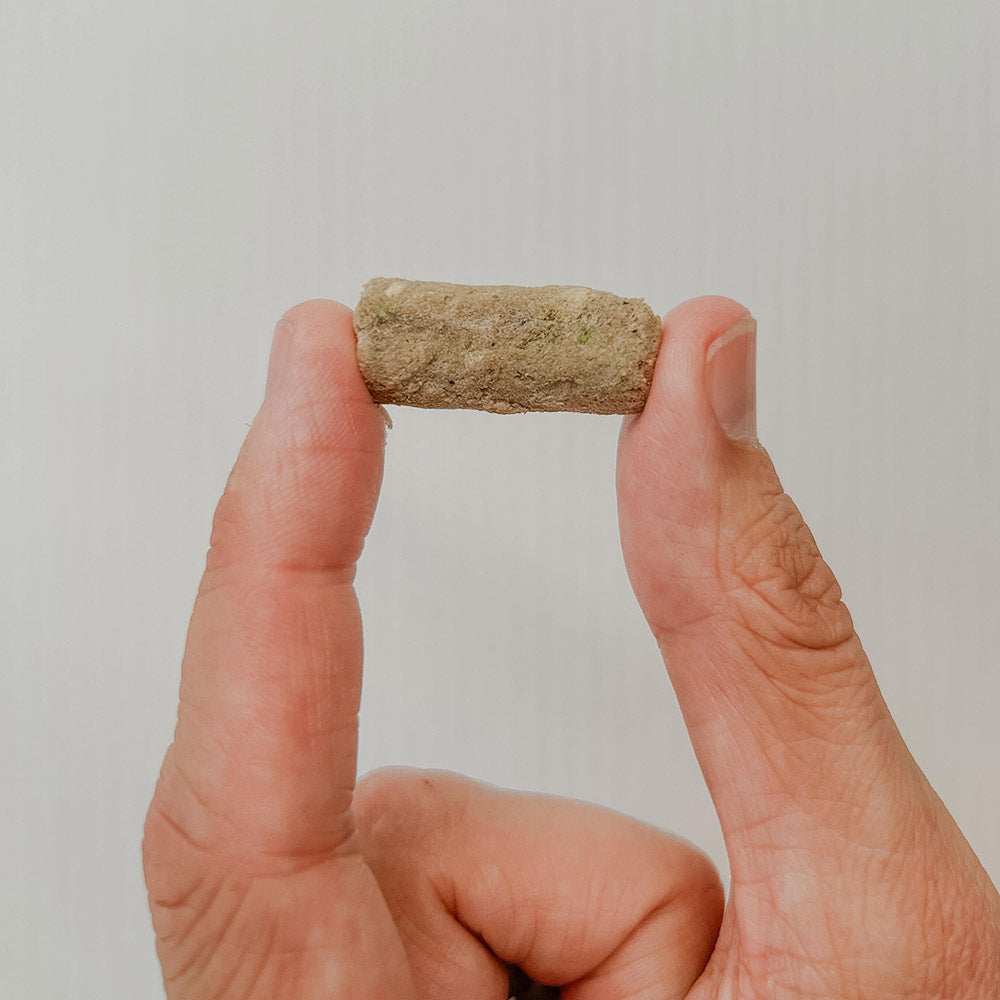 CEN Dog Multivitamin Chews Freeze Dried Lamb