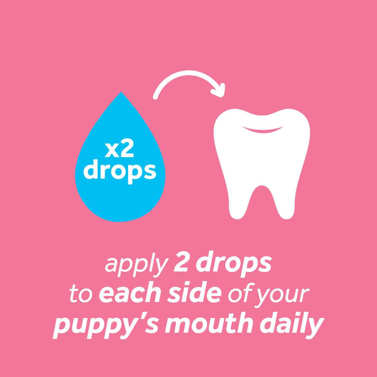 TropiClean Fresh Breath Oral Care Clean Teeth Gel for Puppies