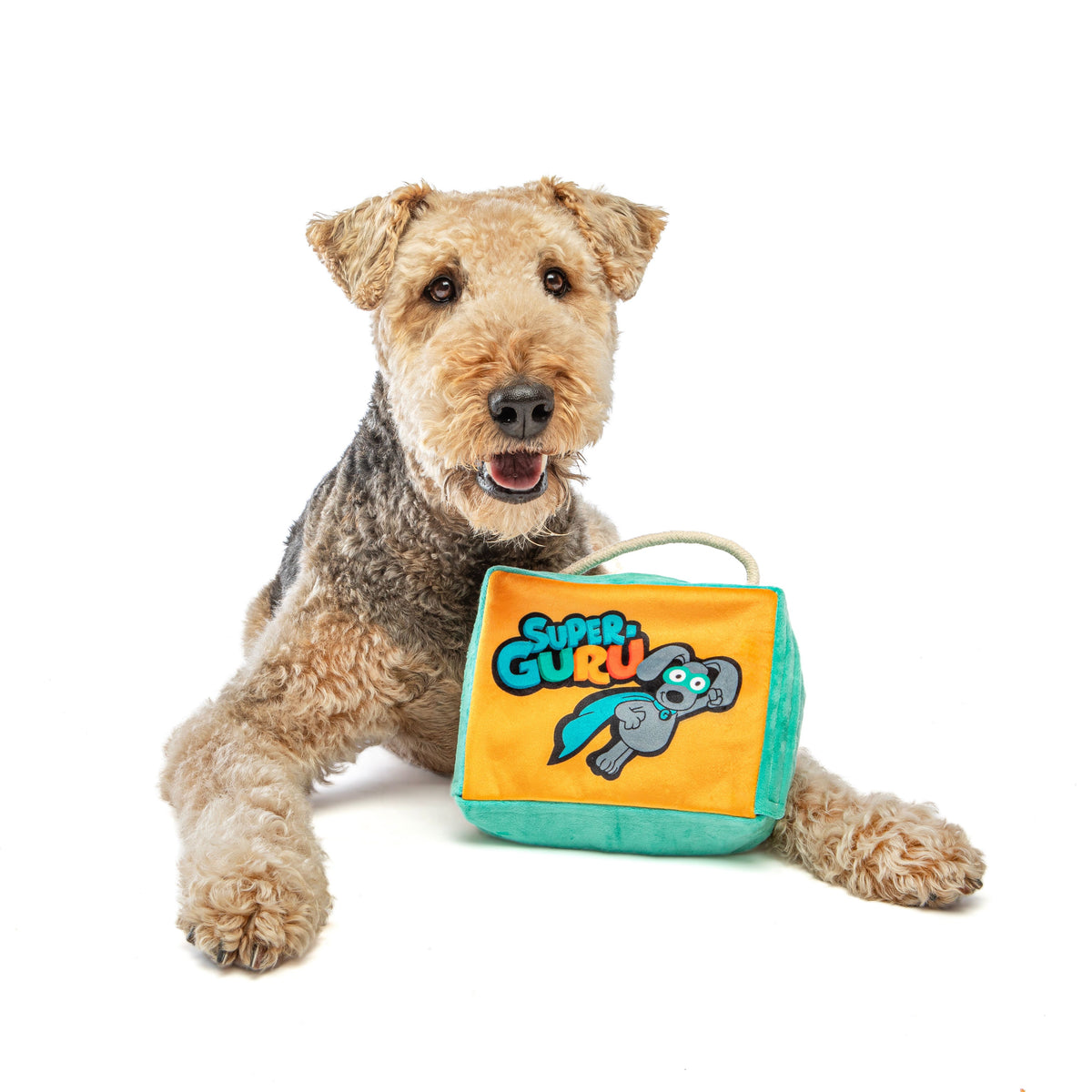 Guru Super Guru Fun Box Large Dog Toy