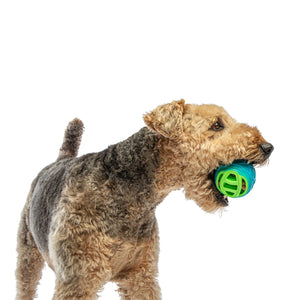 Guru Pocket Ball Medium/Large Dog Toy