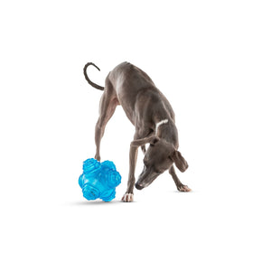 Guru Puzzle Jack Medium Dog Toy