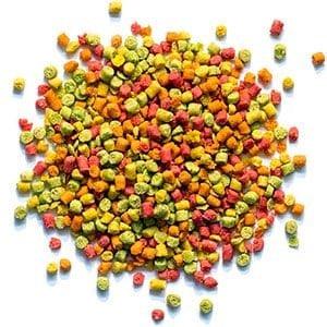 ZuPreem FruitBlend for Small Birds
