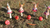 Fairy on Mushroom Garden Stake Asstd 23cm