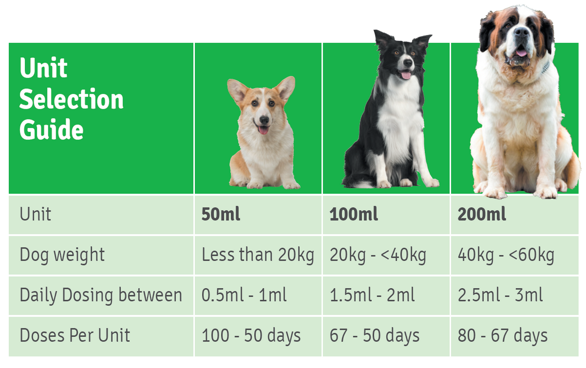 4CYTE Epiitalis Forte Gel for Dogs