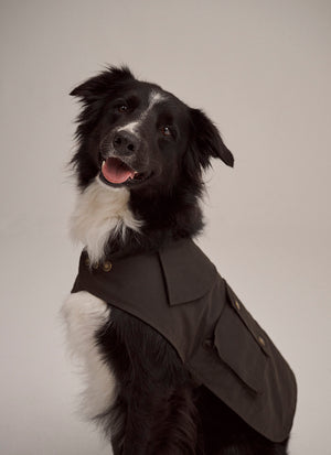 Driza-Bone Aspley Dog Coat