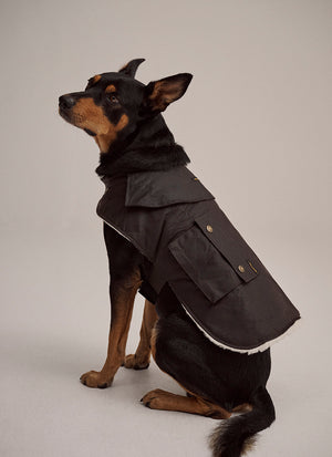 Driza-Bone Ashfield Sherpa Dog Coat