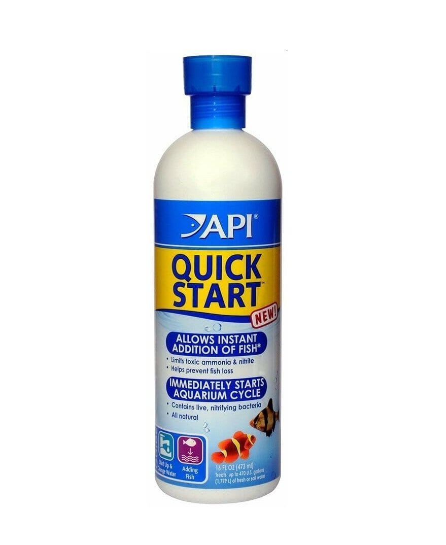 API Quick Start