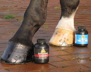 Absorbine Hoof Polish Supershine