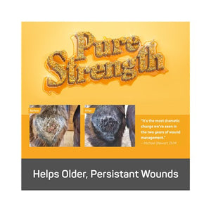 Absorbine Silver Honey Ointment