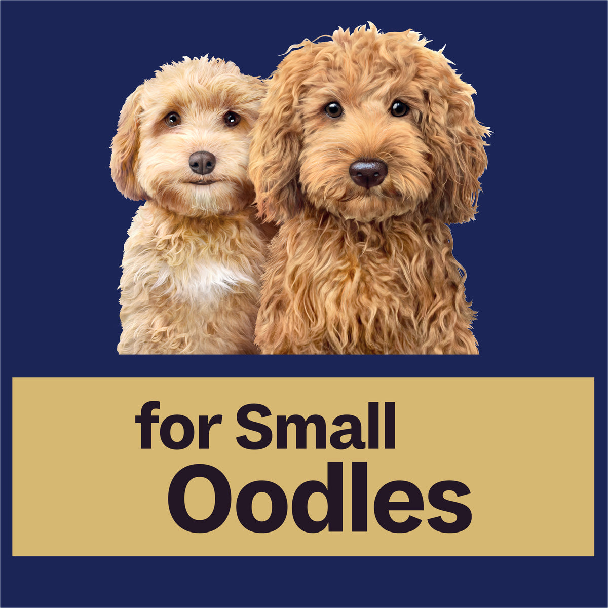 Advance Dog Adult Small Oodles Salmon with Rice Dry Dog Food