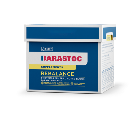 Barastoc Rebalance Horse Block