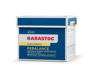 Barastoc Rebalance Horse Block