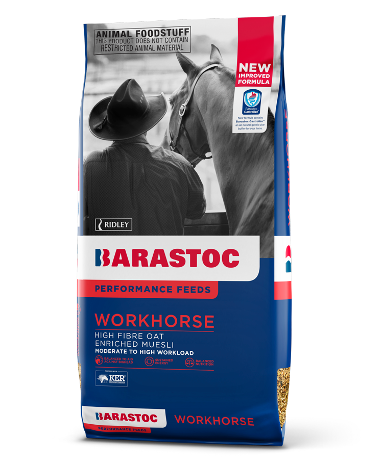 Barastoc Workhorse