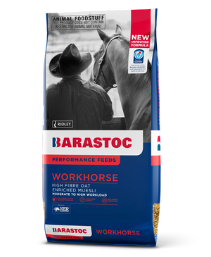 Barastoc Workhorse