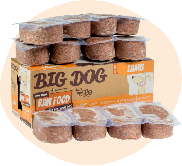 Big Dog BARF Diet Lamb