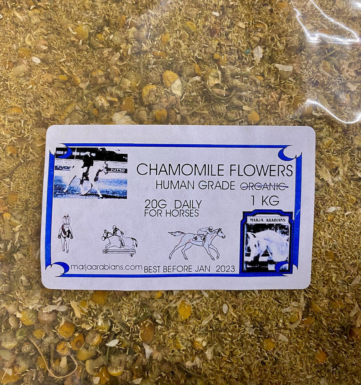 Marja Arabians Chamomile Flowers