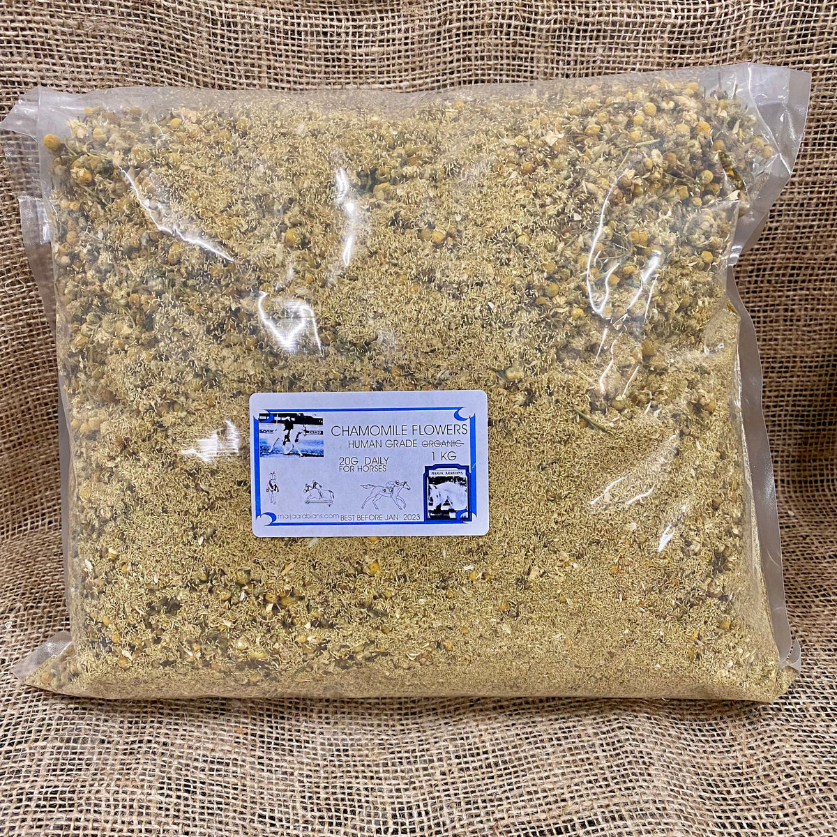 Marja Arabians Chamomile Flowers