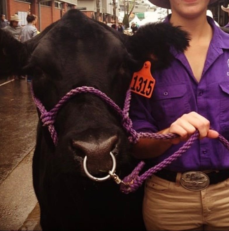 Weaver Poly Rope Cattle Halter with Lead