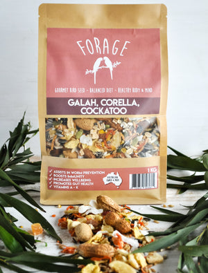 Forage Gourmet Cockatoo Galah and Corella Blend