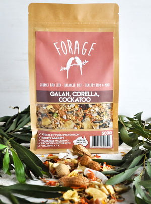 Forage Gourmet Cockatoo Galah and Corella Blend