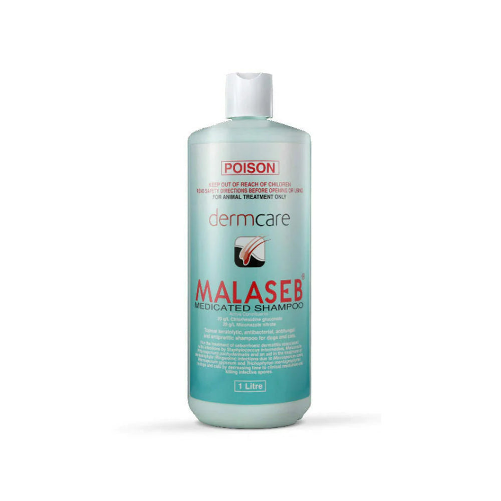 Dermcare Malaseb Medicated Shampoo