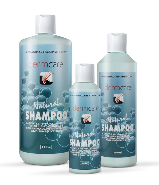 Dermcare Natural Shampoo